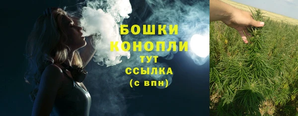 spice Нягань